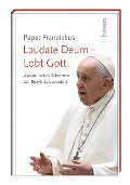 Laudate Deum - Lobt Gott - Papst Franziskus