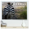 Zebras - Ungezähmte Kraft (hochwertiger Premium Wandkalender 2025 DIN A2 quer), Kunstdruck in Hochglanz - Elisabeth Stanzer