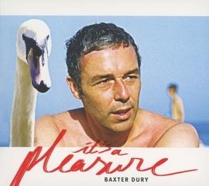 It's A Pleasure - Baxter Dury