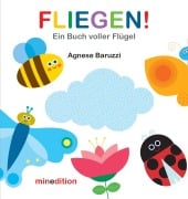 Cover-Bild zum Titel 'FLIEGEN!' von 'Agnese Baruzzi'