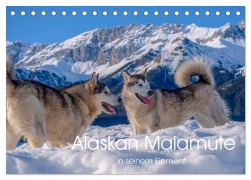 Cover-Bild zum Titel 'Alaskan Malamute in seinem Element (Tischkalender 2026 DIN A5 quer), CALVENDO Monatskalender' von 'Wuffclick-Pic Wuffclick-Pic'
