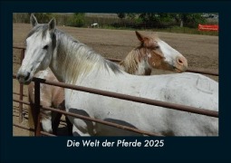 Cover-Bild zum Titel 'Die Welt der Pferde 2025 Fotokalender DIN A5' von 'Tobias Becker'