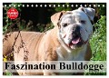 Faszination Bulldogge (Tischkalender 2025 DIN A5 quer), CALVENDO Monatskalender - Elisabeth Stanzer