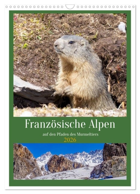 Französische Alpen, auf den Pfaden des Murmeltiers (Wandkalender 2026 DIN A3 hoch), CALVENDO Monatskalender - Alain Gaymard