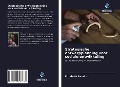 Cover-Bild zum Titel 'Strategische ontwerpplanning voor sociale ontwikkeling' von 'Elizabeth Rámirez'