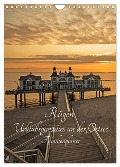Rügen - Urlaubsparadies an der Ostsee - Familienplaner (Wandkalender 2024 DIN A4 hoch), CALVENDO Monatskalender - Andrea Potratz