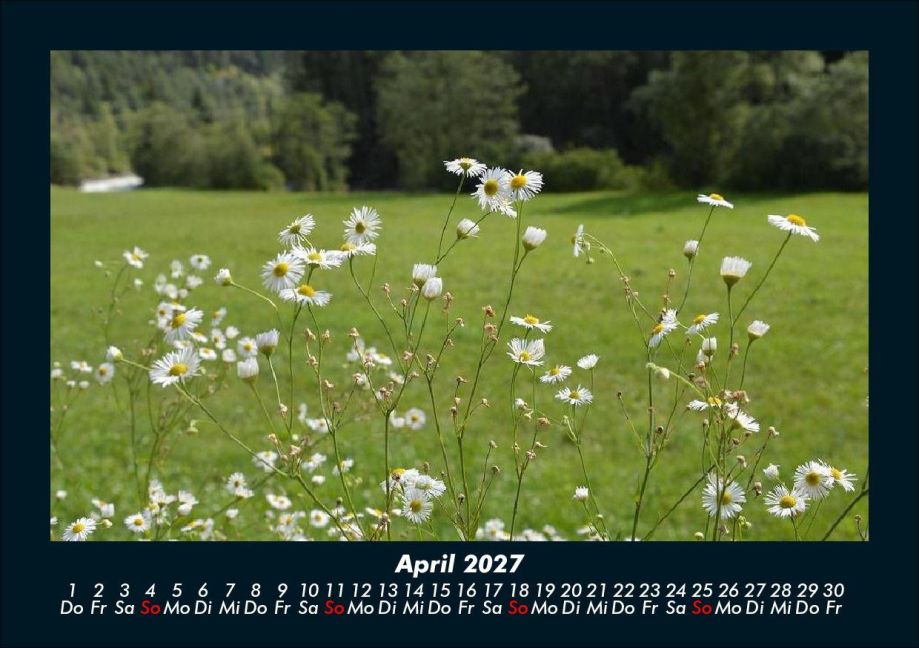 InsideView 8