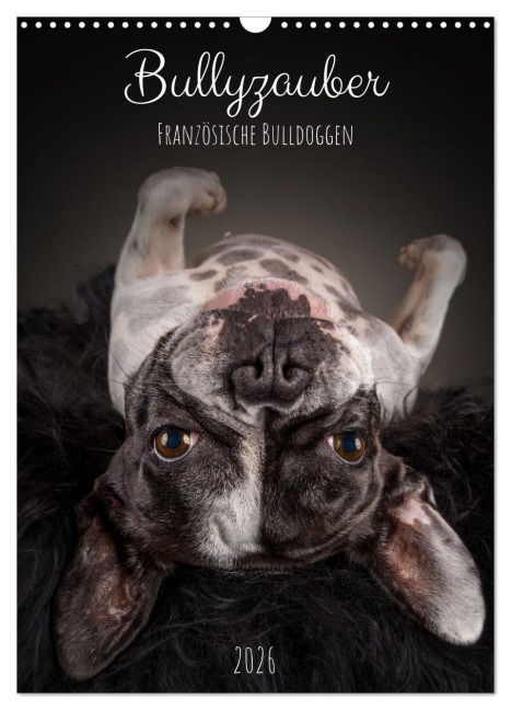 Bullyzauber - Französische Bulldoggen (Wandkalender 2026 DIN A3 hoch), CALVENDO Monatskalender - Silke Gareis (SCHNAPP-Schuss)