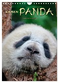 Riesenpanda (Wandkalender 2025 DIN A4 hoch), CALVENDO Monatskalender - Peter Roder