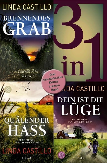 Brennendes Grab / Quälender Hass / Dein ist die Lüge - Drei Kate-Burkholder-Krimis in einem Band - Linda Castillo