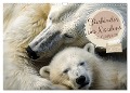 Tierkinder des Nordens (Wandkalender 2025 DIN A3 quer), CALVENDO Monatskalender - Daniela Tapper