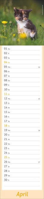 InsideView 4