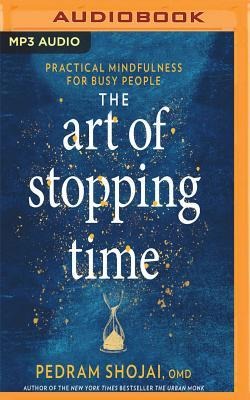 The Art of Stopping Time: Practical Mindfulness for Busy People - Pedram Shojai