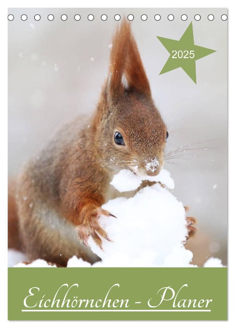 Eichhörnchen - Planer (Tischkalender 2025 DIN A5 hoch), CALVENDO Monatskalender - Birgit Cerny