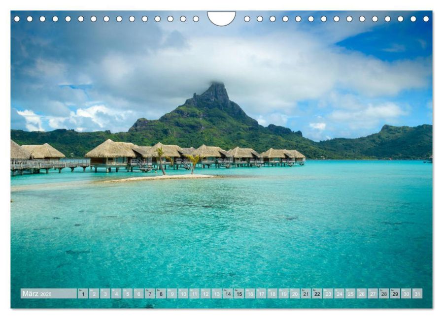 InsideView 8