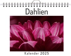 Cover-Bild zum Titel 'Dahlien' von 'Liam Müller'