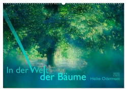 In der Welt der Bäume (Wandkalender 2026 DIN A2 quer), CALVENDO Monatskalender - Heike Odermatt