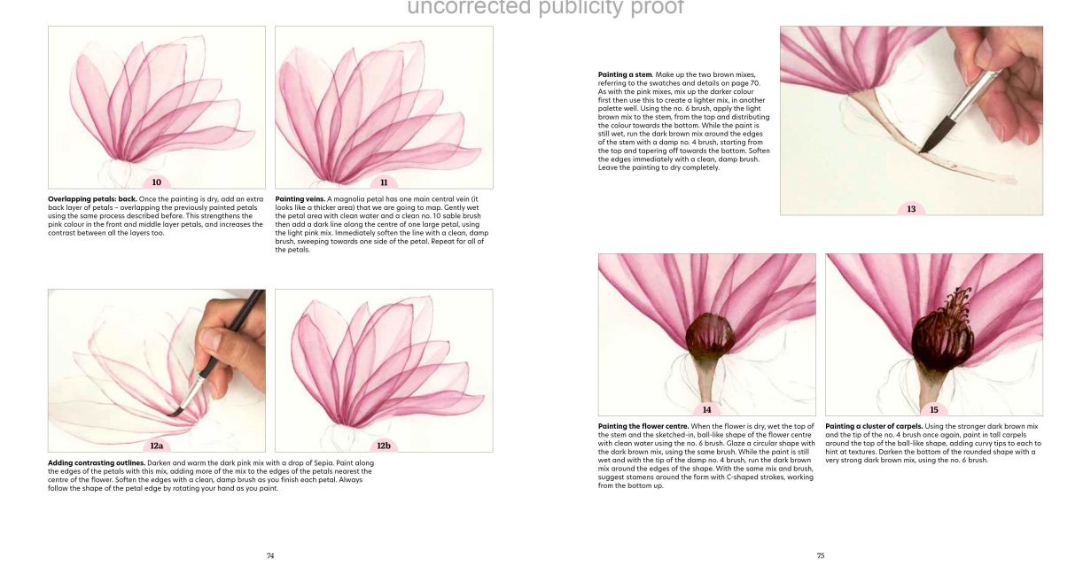InsideView 5