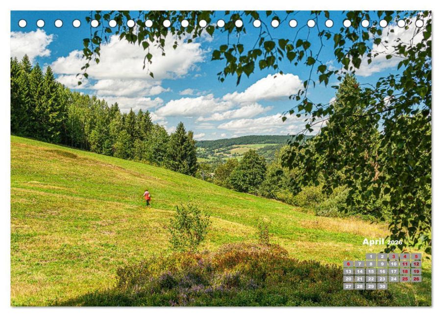 InsideView 9