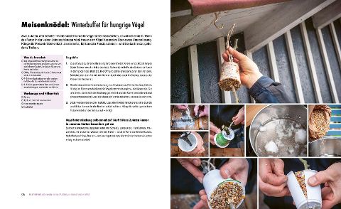 InsideView 6
