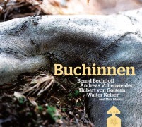 Cover-Bild zum Titel 'Buchinnen' von 'Hubert von Goisern, Walter Keiser, Bernd Bechtloff, Andreas Vollenweider'