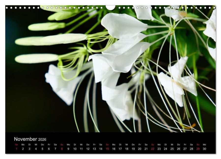 InsideView 3