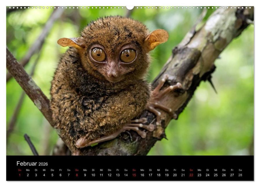 InsideView 7