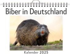 Cover-Bild zum Titel 'Biber in Deutschland - (Wandkalender 2025, Kalender DIN A4 quer, Monatskalender im Querformat mit Kalendarium, das perfekte Geschenk)' von 'Julia Huber'