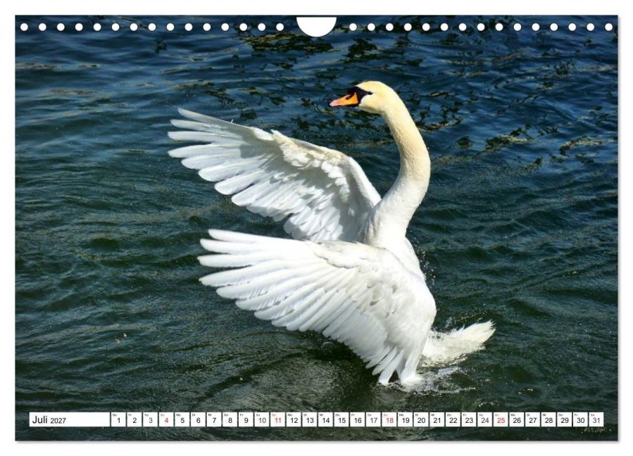 InsideView 12