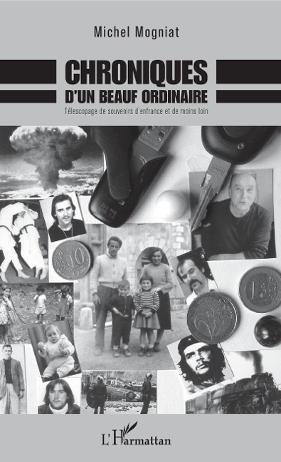 Chroniques d'un beauf ordinaire - Mogniat