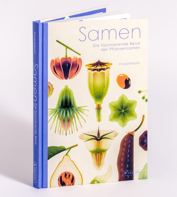 Samen - Cruschiform