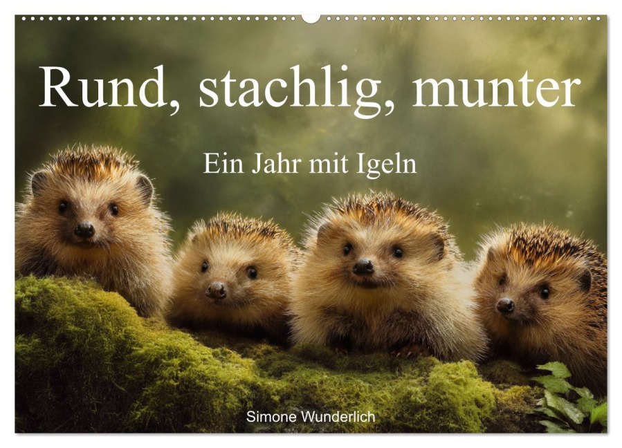 Rund, stachlig, munter - Ein Jahr mit Igeln (Wandkalender 2026 DIN A2 quer), CALVENDO Monatskalender - Simone Wunderlich
