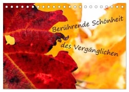 Berührende Schönheit des Vergänglichen (Tischkalender 2026 DIN A5 quer), CALVENDO Monatskalender - Monika Scheurer