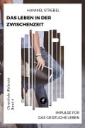 Cover-Bild zum Titel 'Das Leben in der Zwischenzeit' von 'Hanniel Strebel'