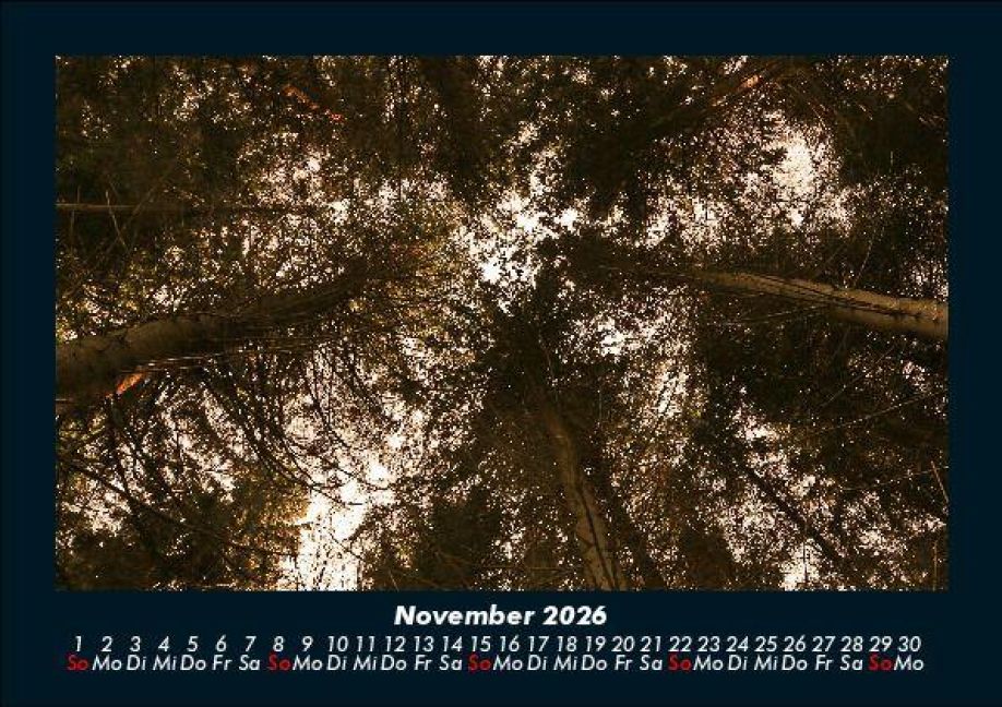 InsideView 3