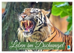 Cover-Bild zum Titel 'Leben im Dschungel: Der Regenwald ist ein Paradies für Tiere (Wandkalender 2027 DIN A2 quer), CALVENDO Monatskalender' von 'Calvendo'