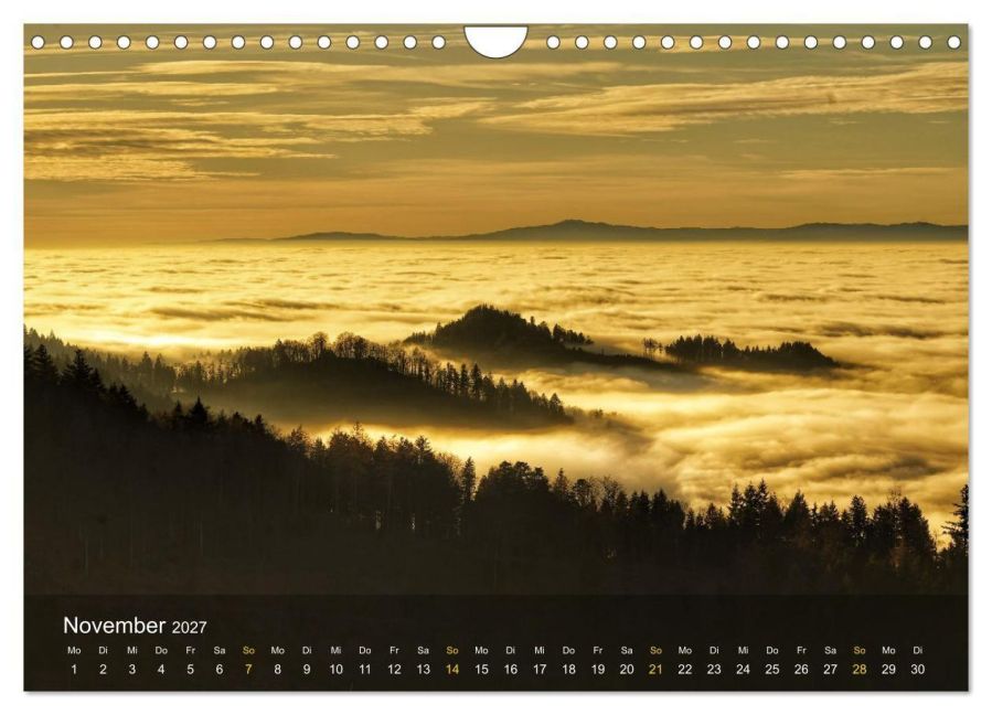 InsideView 3