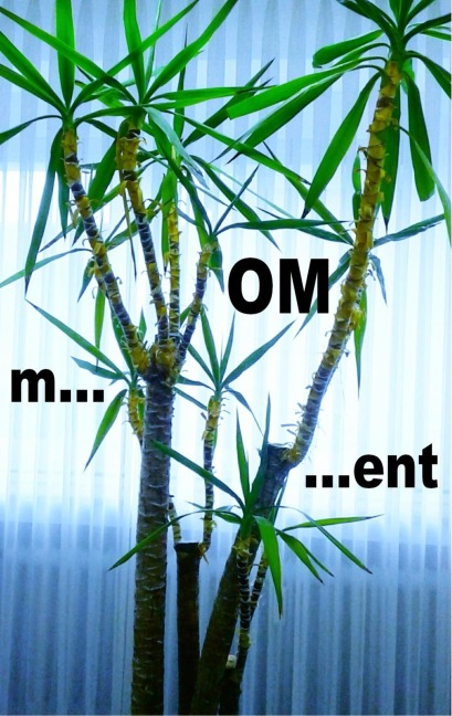 m...OM...ent - Pier Zellin, Pia Zellin, Paul Zellin