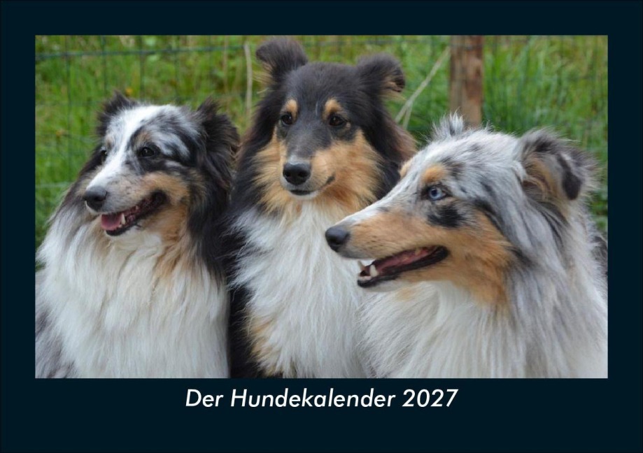 Der Hundekalender 2027 Fotokalender DIN A5 - Tobias Schmitt, Kevin Heber