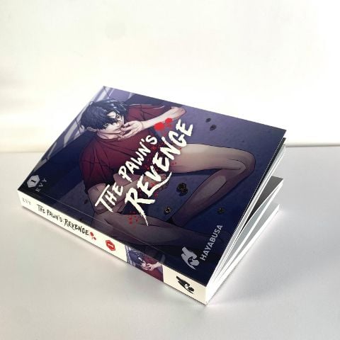 InsideView 2
