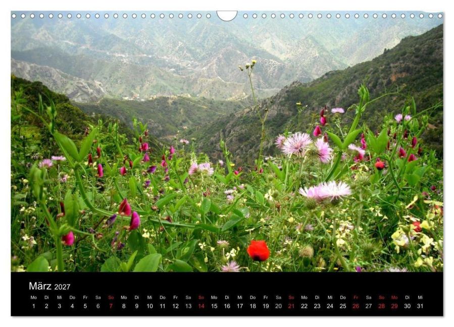 InsideView 8