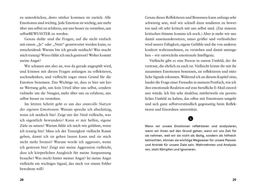 InsideView 4