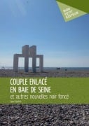 Cover-Bild zum Titel 'Couple enlacé en baie de Seine' von 'Jean Santiré'