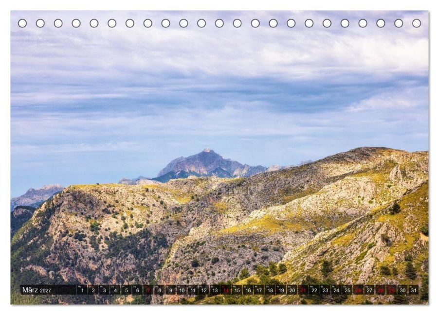 InsideView 8