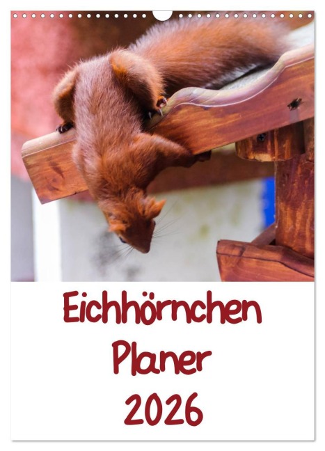 Eichhörnchen Planer 2026 (Wandkalender 2026 DIN A3 hoch), CALVENDO Monatskalender - Carsten Jäger