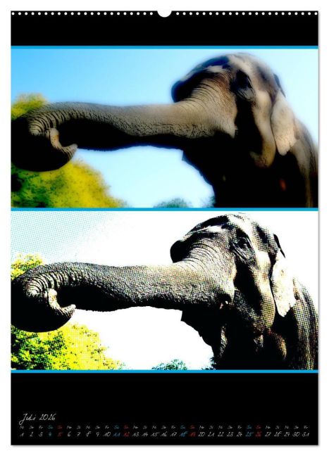 InsideView 11