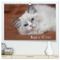 Ragdoll Kitten (hochwertiger Premium Wandkalender 2025 DIN A2 quer), Kunstdruck in Hochglanz - Fotodesign Verena Scholze