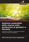Cover-Bild zum Titel 'Gestione sostenibile delle risorse nella produzione di gamberi a Machala' von 'Maria del Cisne Fierro Maldonado'