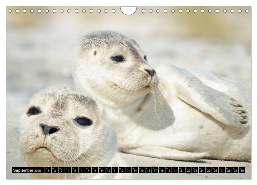 InsideView 14