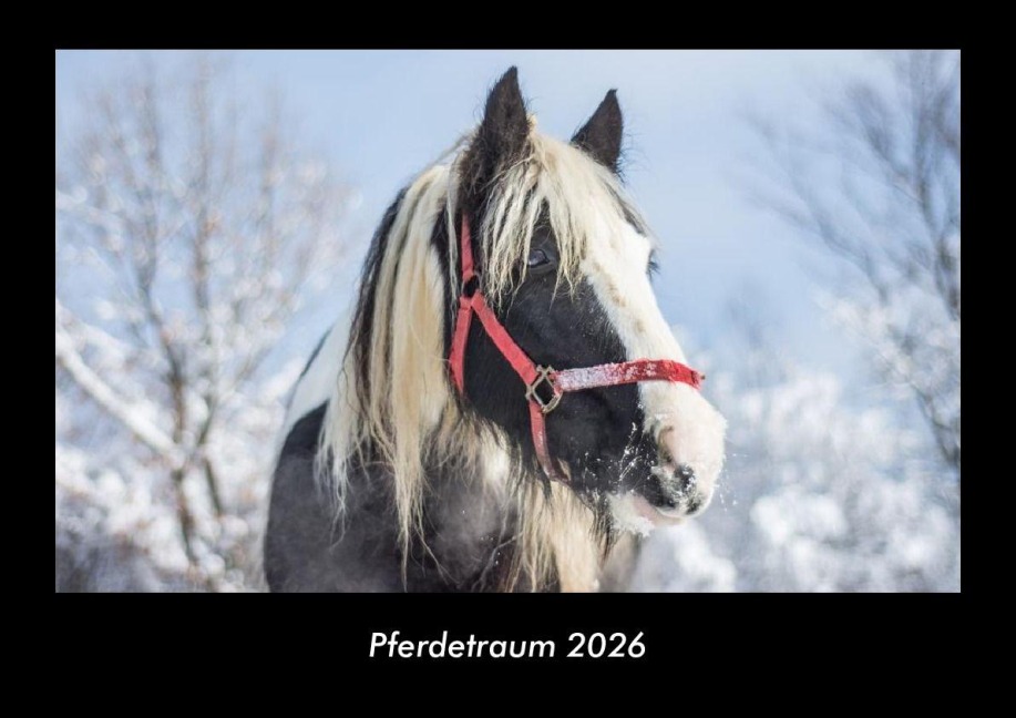 Pferdetraum 2026 Fotokalender DIN A3 - Tobias Becker